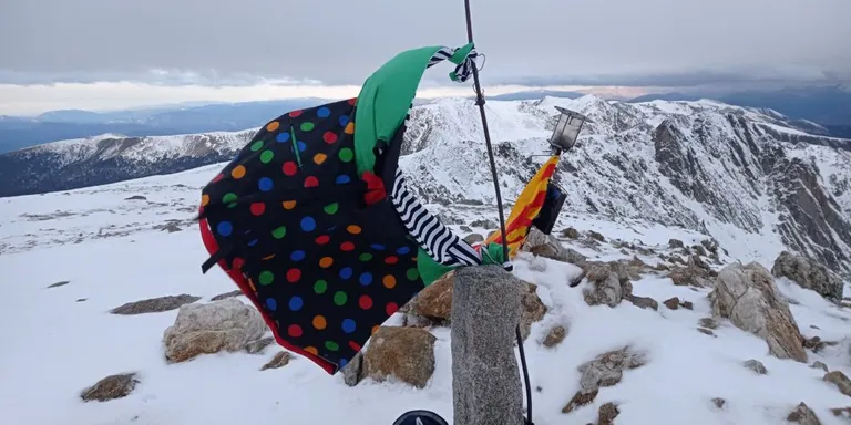 Les exposicions del Carnaval es traslladen als aparadors dels comerços solsonins