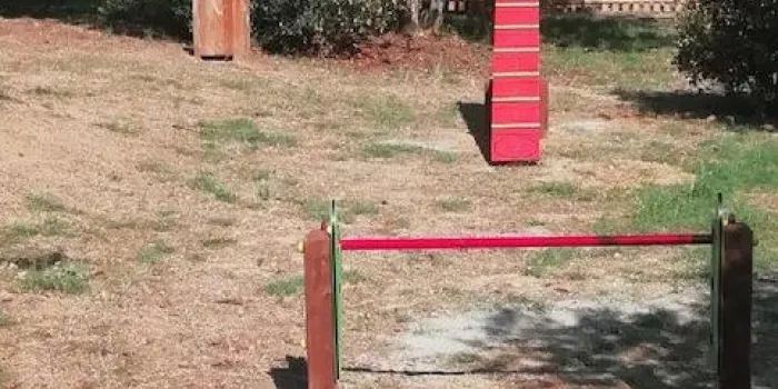 Arenys tindrà el primer circuit ‘agility’ caní per a gossos