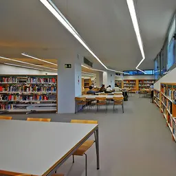 Entrevistes de la Plaça Mireia del 16/10/2019 — 16 anys a la Biblioteca Joan Margarit: història, arquitectura i silenci; 8è aniversari amb recital de Margarit i García Montero - episode art