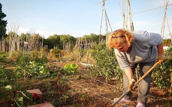 Foto: Hort de la Sínia