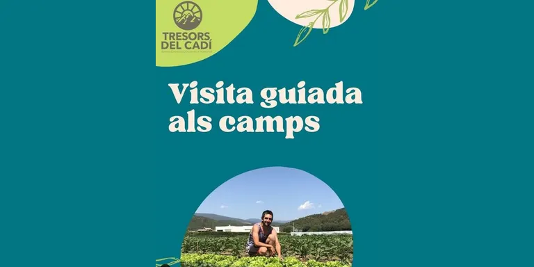 Tresors del Cadí organitza una visita guiada als seus camps a Montferrer
