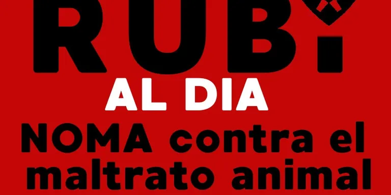 RUBÍ AL DIA dimecres 28 NOVEMBRE 2018
