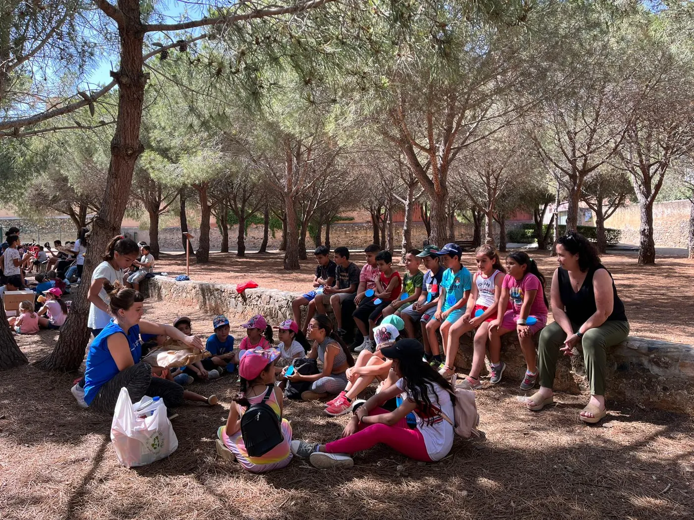 El Consell Comarcal del Baix Camp clou la 10a Trobada dels Serveis d’Intervenció Socioeducativa