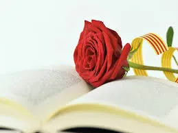 Llibreries solsonines afronten el Sant Jordi confinat amb repartiment a domicili i sortejos per les xarxes socials