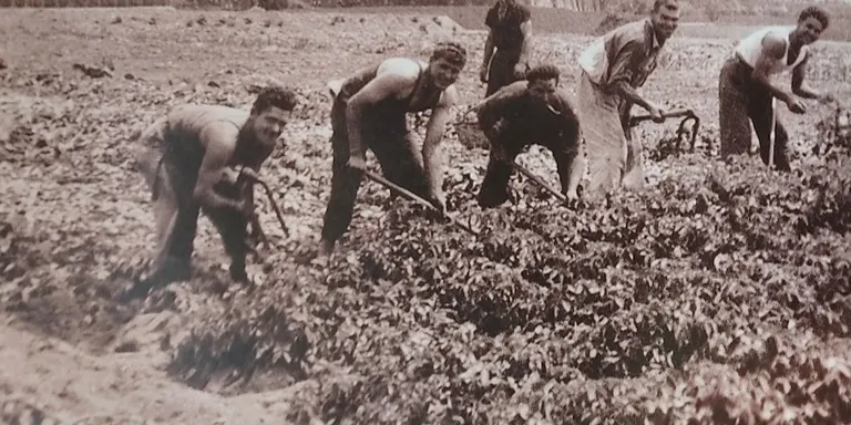 Anem a l’hort, història de l’agricultura a Vilassar de Mar