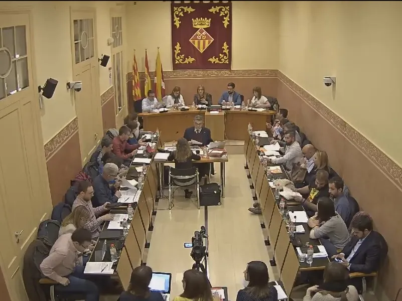 Ple ordinari març 2017