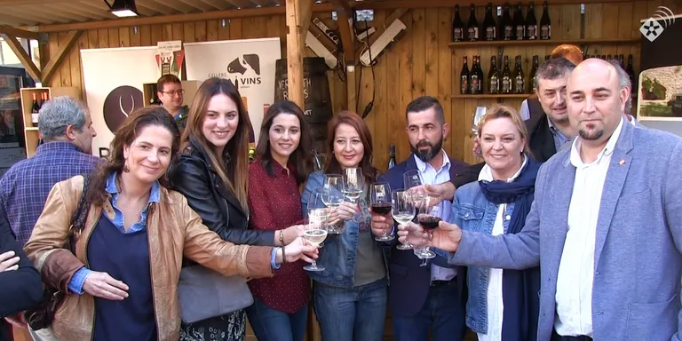 Inés Arrimadas (C's) demana la retirada de l'amiant present a diverses escoles de Rubí