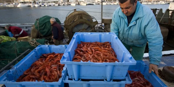 Arenys de Mar es suma un any mes a les Jornades gastronòmiques del Peix i Marisc