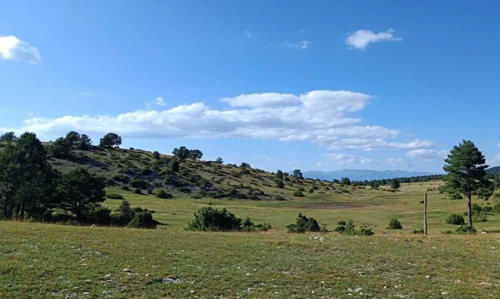 <strong>Obertes les inscripcions a la sisena Caminada de Cambrils</strong>