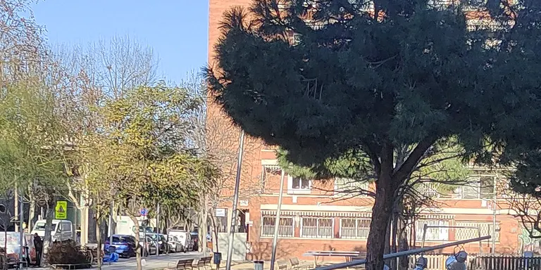 ACTUALITZACIÓ: Coneix les afectacions del vent a Cornellà