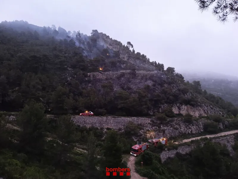 Un incendi forestal a Fontscaldes crema amb poca intensitat