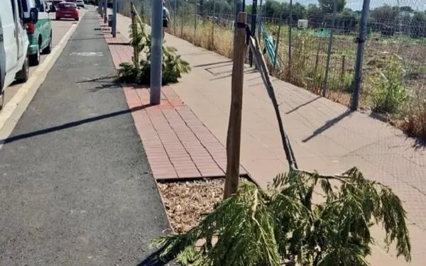 Foto: Ajuntament d'Altafulla