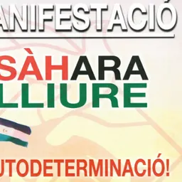 #994 - Rubí Solidari sobre la mani autodeterminació poble saharauhí - episode art
