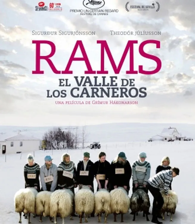El CineClub La Seu projecta la pel·lícula islandesa 'Rams. El Valle de los carneros'