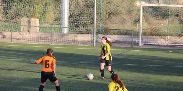 CE Altafulla – EF La Pastoreta: nou test per posar a prova la reacció de les abelles