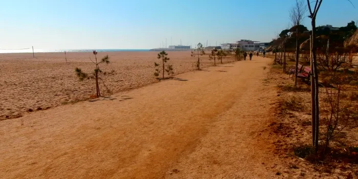 Més de 200 quilos de brossa es van recollir dissabte a la platja del Cavaió