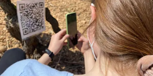 Més de mig miler d’escolars elaboren propostes innovadores pel turisme de la Costa Daurada