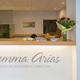 Entrevista local a Gemma Arias, fisioterapeuta - Exercicis de confinament - episode art