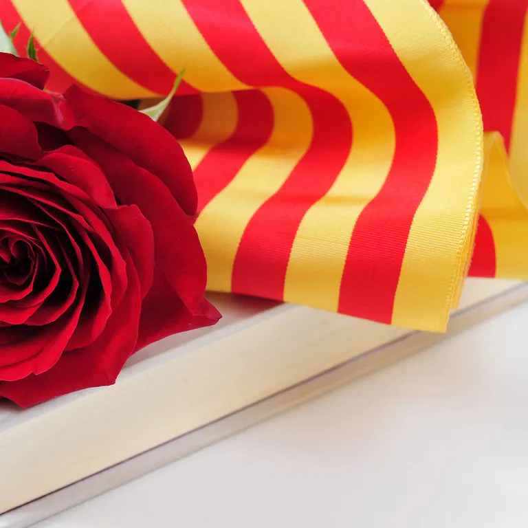 Especial Sant Jordi 2017