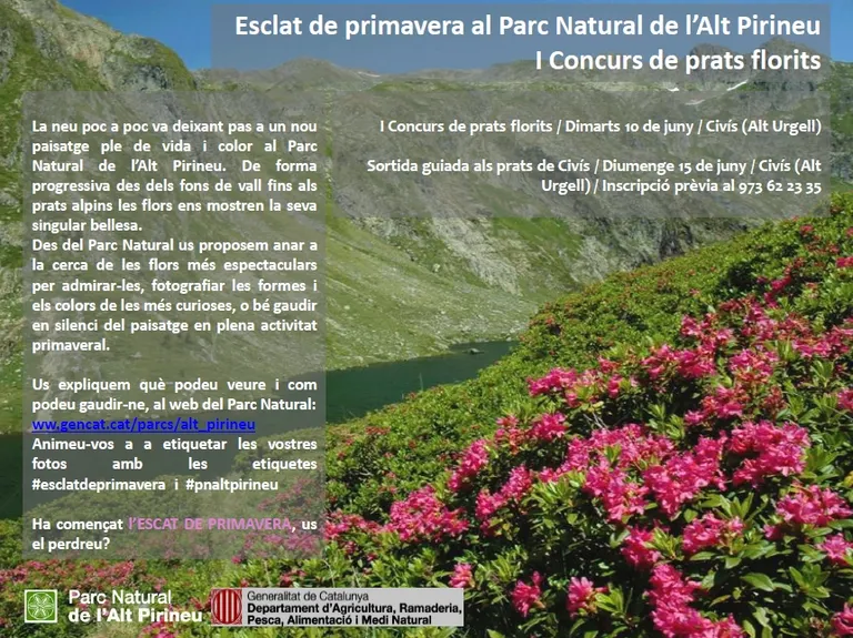 El Parc Natural de l'Alt Pirineu difon la flora a través de la campanya 'Esclat de primavera'