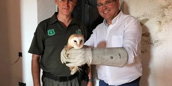 El Cos d’Agents Rurals i l’Ajuntament d’Altafulla treballen per reintroduir les òlibes a la muntanya de Sant Antoni