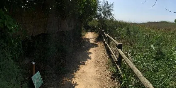 L’Associació Mediambiental la Sínia demana que part de la taxa turística es destini al manteniment d’espais naturals