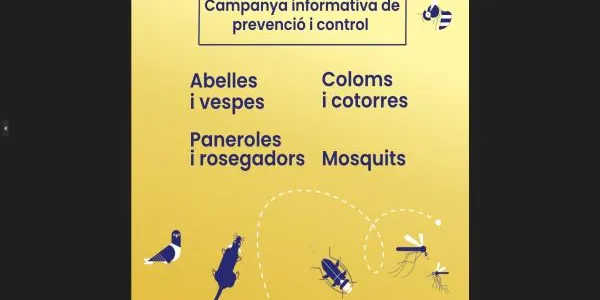 Torredembarra engega una campanya de control i prevenció de plagues