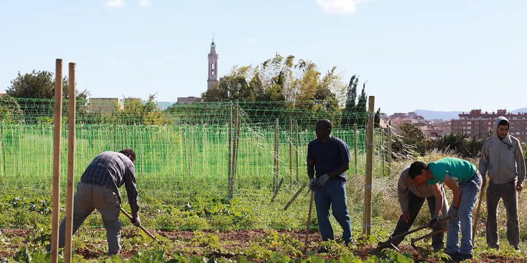 S’obre un segon hort comunitari al Barri Antic de Valls