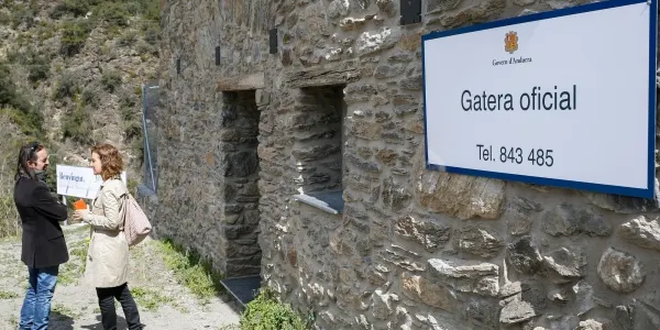 La gatera oficial d'Andorra ja pot acollir gats domèstics