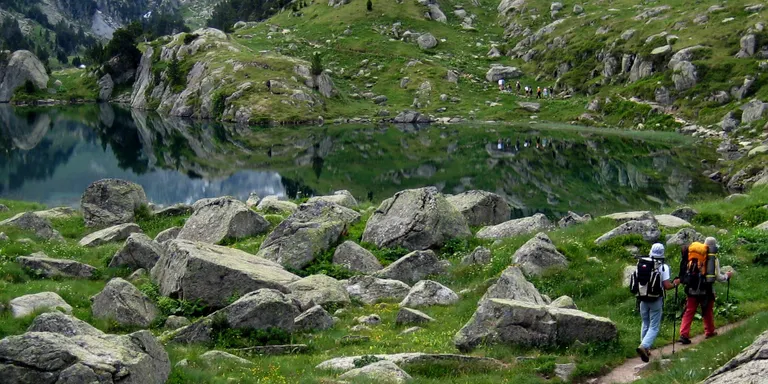 En Comú Podem vol l'aprovació "improrrogable" de l'Agència de la Natura