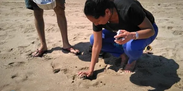 Un estudi detecta una alta concentració de microplàstics i presència de fibres de polièster a la costa tarragonina