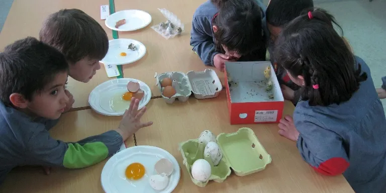 Alumnes de l'Escola La Valira coneixen els animals amb el Projecte Àlber