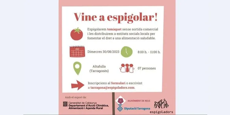 Els Espigoladors reprenen la seva activitat a Altafulla amb una nova sessió aquest dimecres