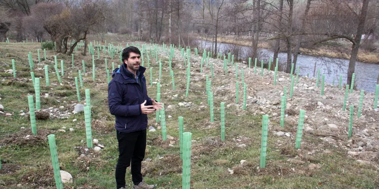Un projecte permet recuperar l'entorn de les Basses de Gallissà, a Bellver de Cerdanya
