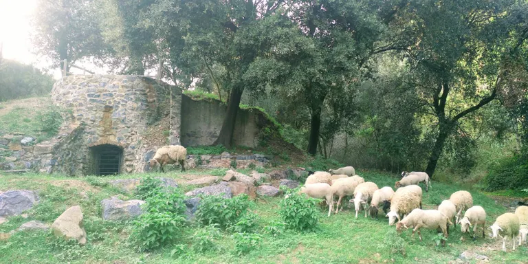 Dia esplèndid i ambient fresc