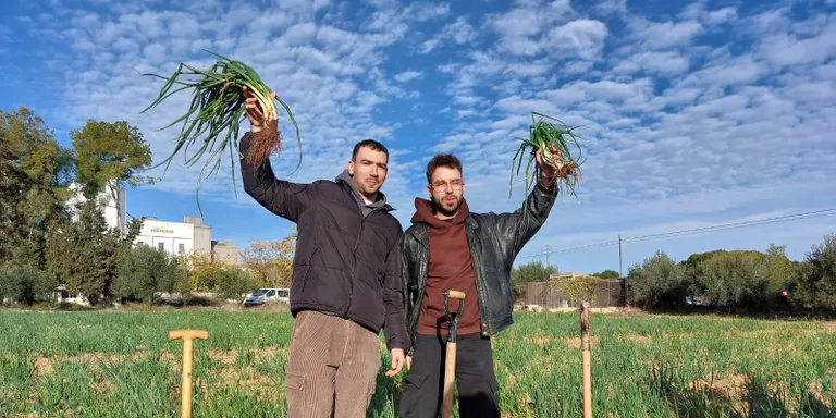 Els Figa Flawas arrenquen el primer calçot de la temporada