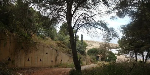 El Gepec, el grup GATA i l’Ajuntament d’Altafulla, de la mà en una nova jornada de voluntariat a la Finca Canyadell