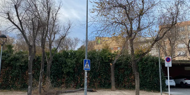 El vent segueix fent de les seves al Morell