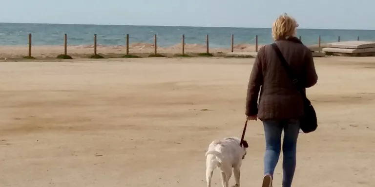 Pineda tindrà dos parcs 'agility' per a gossos i la platja per a mascotes tindrà servei tot l'any