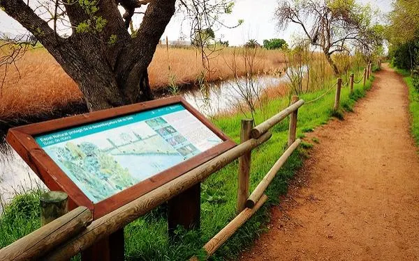 Foto: Hort de La Sínia