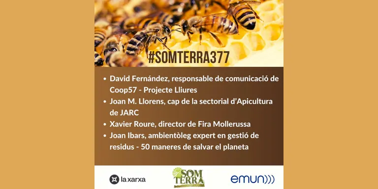 Som Terra 377
