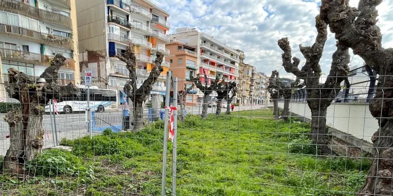 La persona sense llar que malvivia al costat de l’estació de RENFE ha marxat