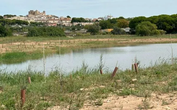 Foto: Associació Mediambiental La Sínia