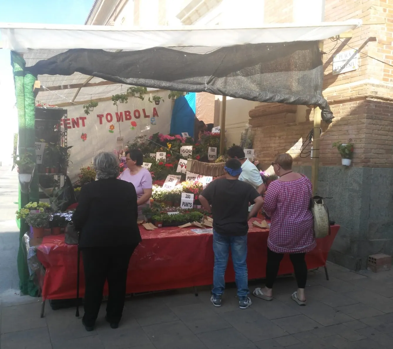 Del 4 al 6 de juny, Tòmbola de plantes