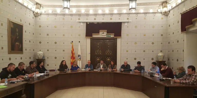 El ple de la Seu rebutja l'aplicació de l'article 155 a Catalunya