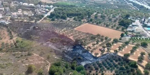 Els Bombers donen per extingit l’incendi de vegetació de Creixell