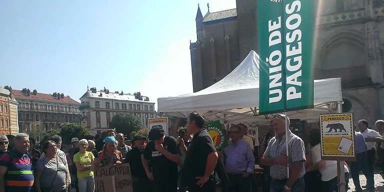 UP denuncia sis nous atacs mortals de l'ós contra bestiar en deu dies