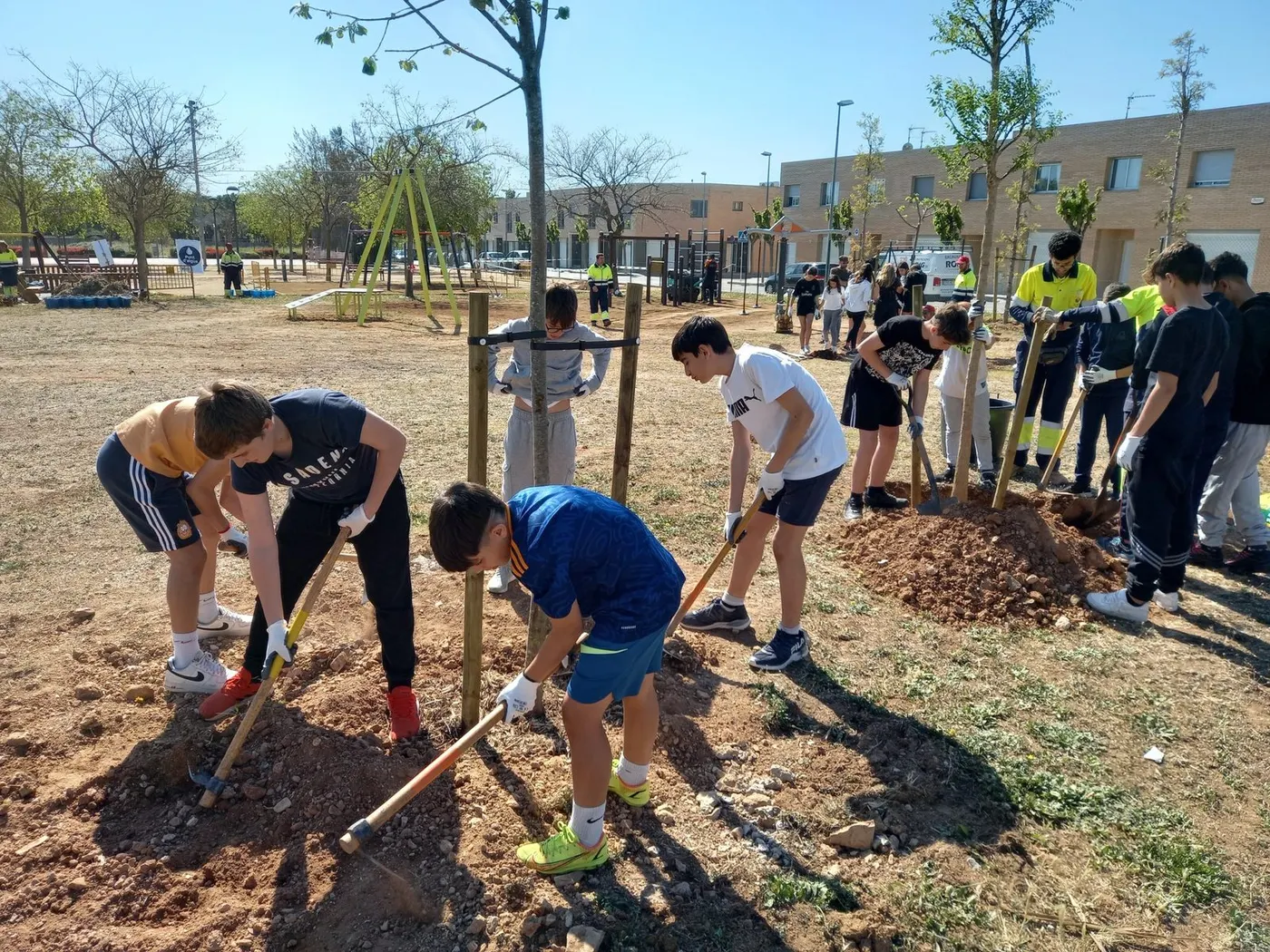 Auxili farà parada al Morell per Sant Martí
