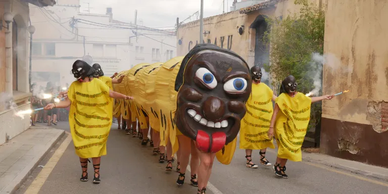La Zeuzera Pyrina es reinventa a causa de la sequera