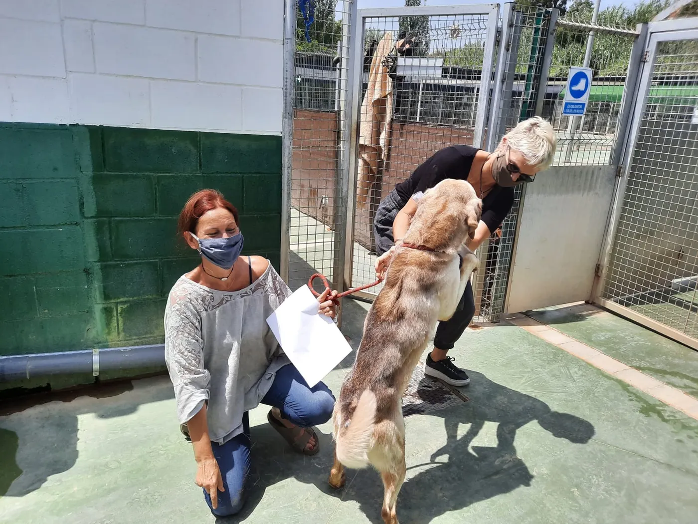 La Fundació Daina del Maresme dona suport a persones grans o vulnerables a través dels animals de companyia